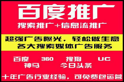 揭秘SEM竞价成功案例，助你提升ROI